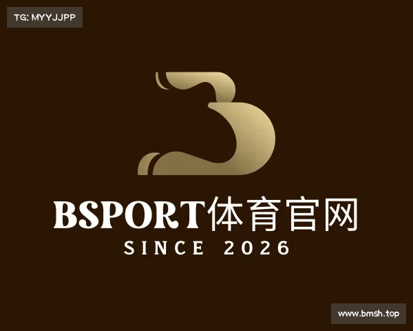 解读BSport体育官网